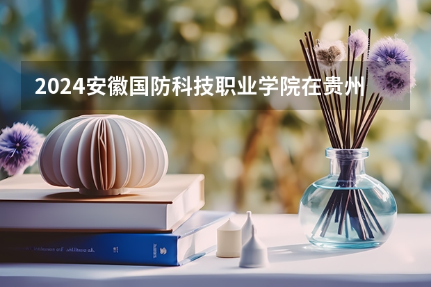 2024安徽国防科技职业学院在贵州招生计划一览表