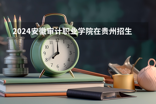 2024安徽审计职业学院在贵州招生计划一览表