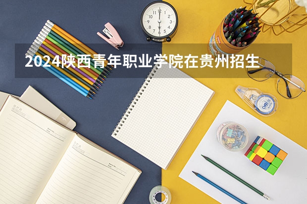 2024陕西青年职业学院在贵州招生计划一览表