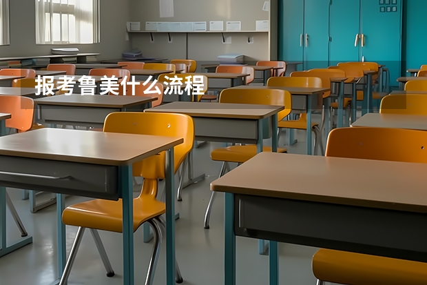 报考鲁美什么流程