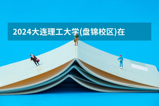 2024大连理工大学(盘锦校区)在贵州招生计划一览表