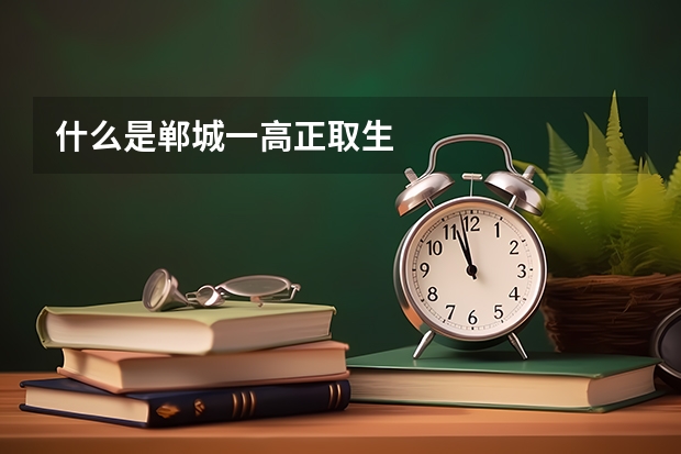 什么是郸城一高正取生