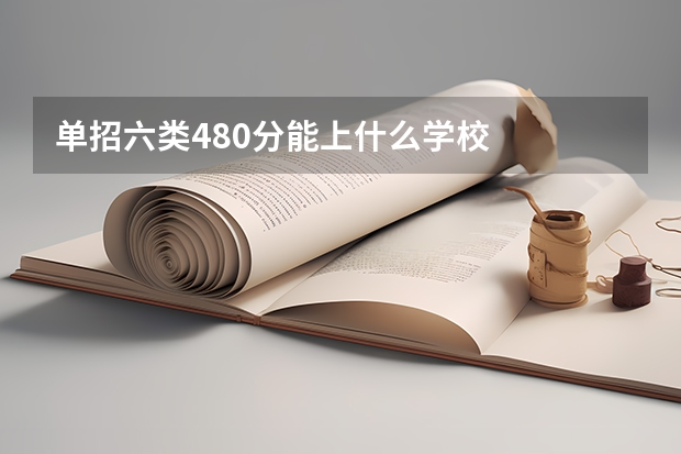单招六类480分能上什么学校
