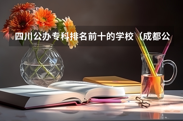 四川公办专科排名前十的学校（成都公办职高前十名）