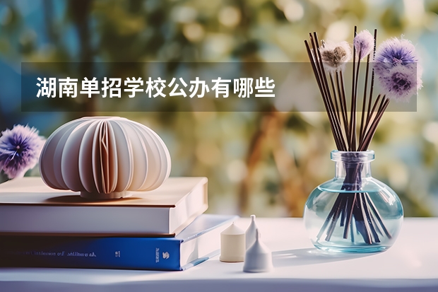 湖南单招学校公办有哪些