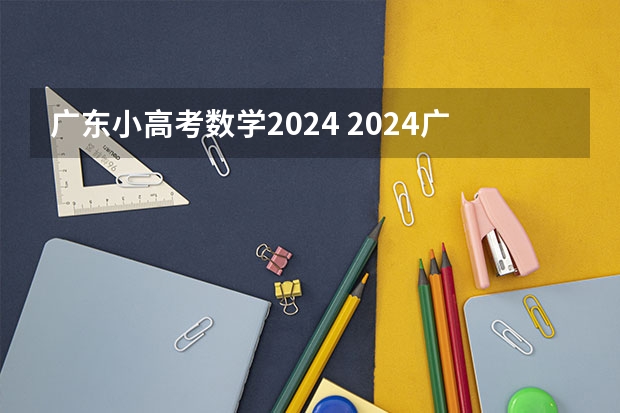 广东小高考数学2024 2024广东高考选科要求