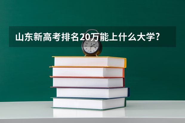 山东新高考排名20万能上什么大学?