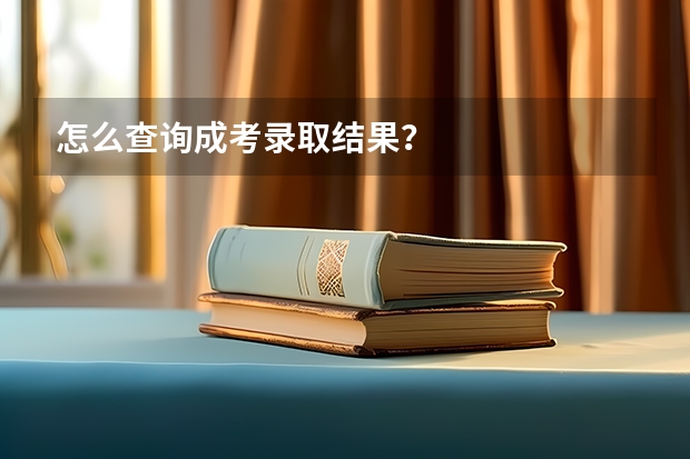 怎么查询成考录取结果？