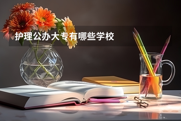 护理公办大专有哪些学校
