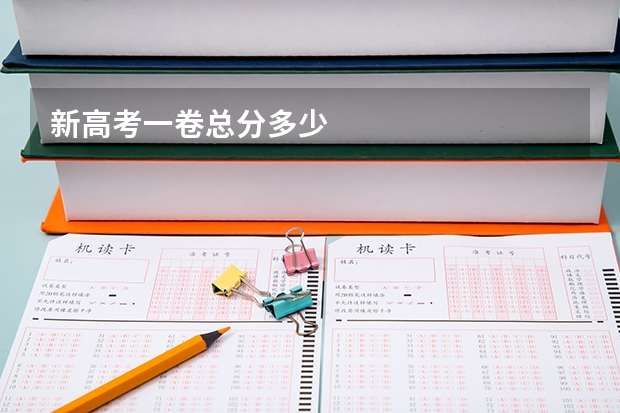 新高考一卷总分多少