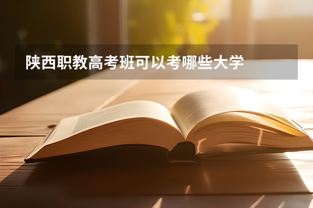 陕西职教高考班可以考哪些大学