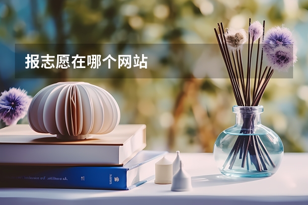 报志愿在哪个网站