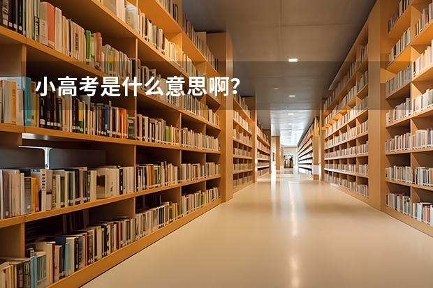 小高考是什么意思啊？