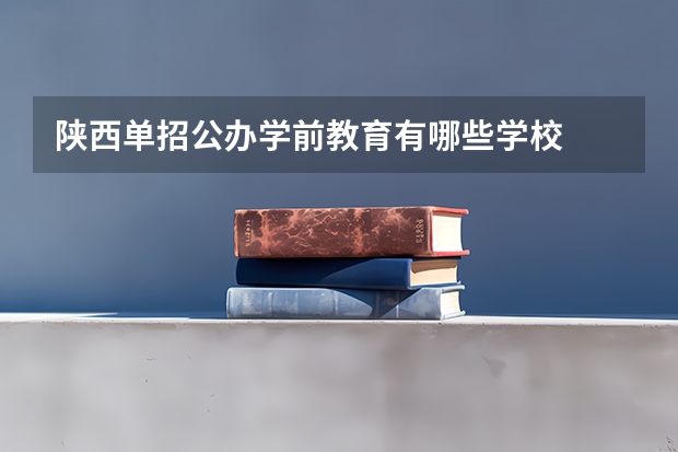 陕西单招公办学前教育有哪些学校