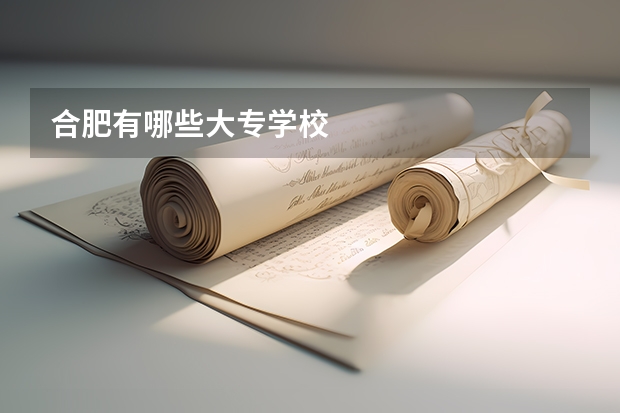 合肥有哪些大专学校