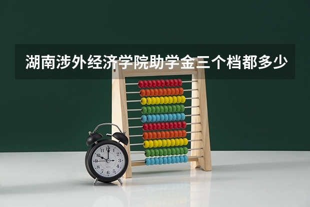 湖南涉外经济学院助学金三个档都多少钱