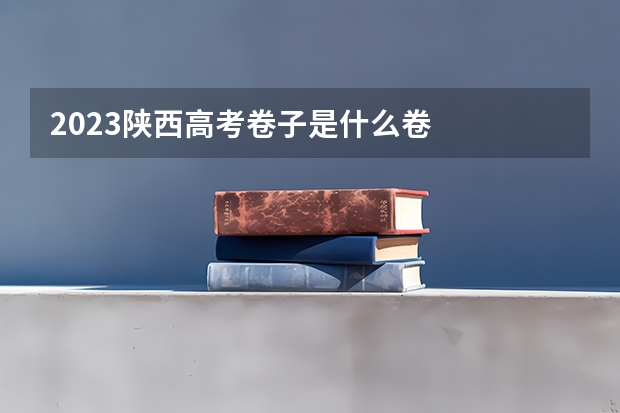 2023陕西高考卷子是什么卷