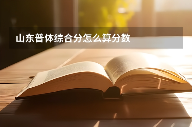 山东普体综合分怎么算分数