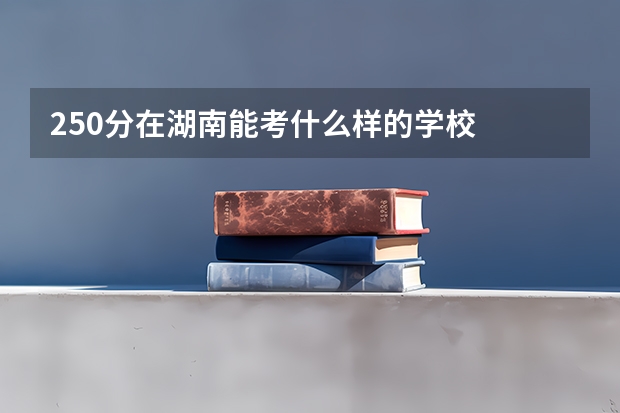 250分在湖南能考什么样的学校